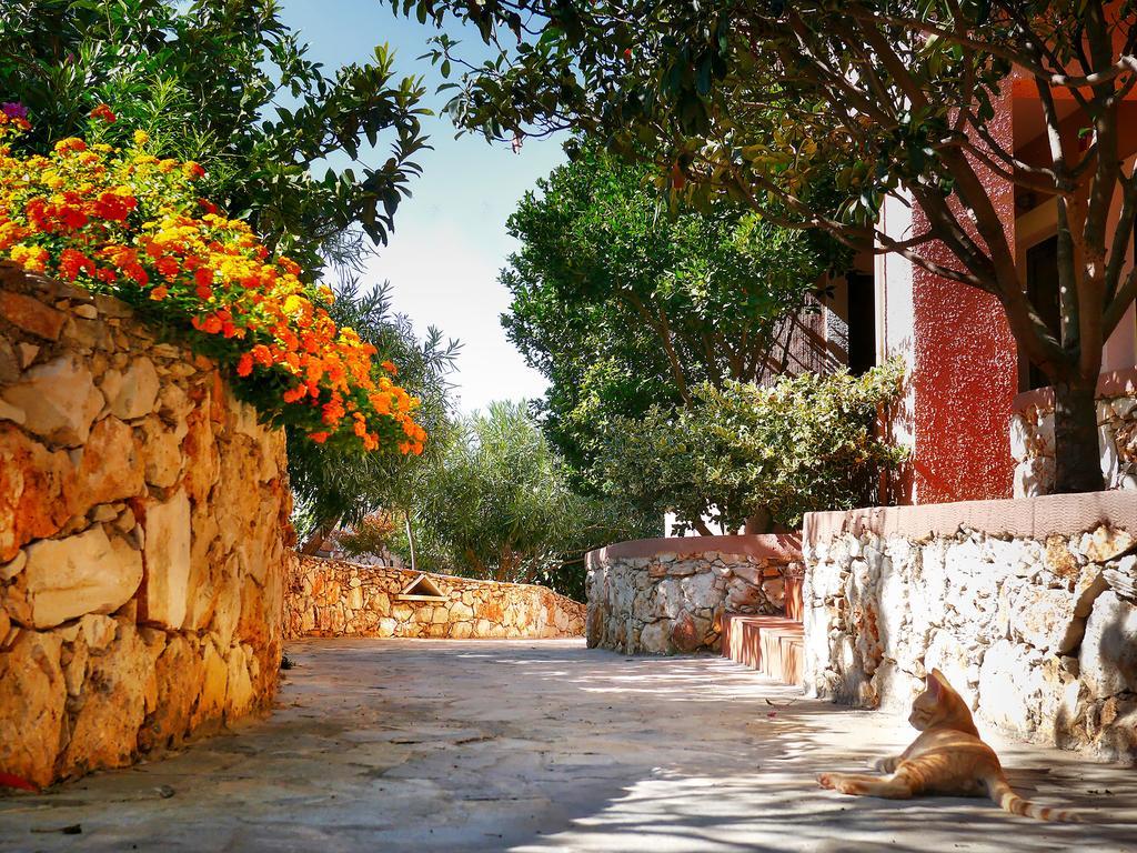 Areti Aparthotel Chania  Luaran gambar